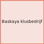 Baskaya klusbedrijf